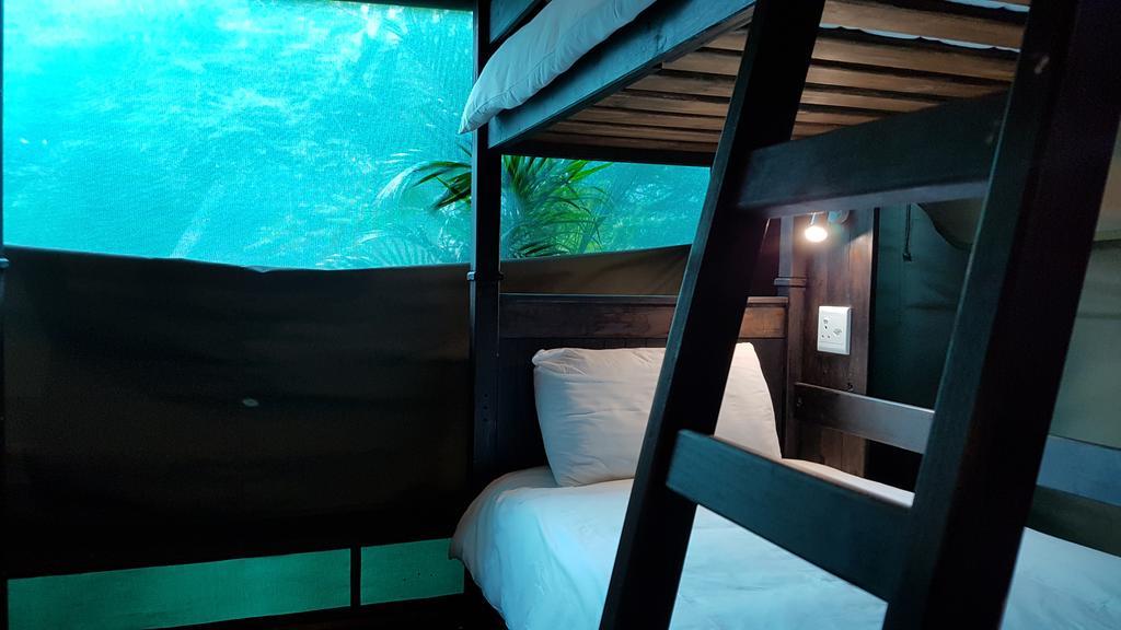 Urban Glamping Tranquil International Backpacking Village Japaratinga Ngoại thất bức ảnh